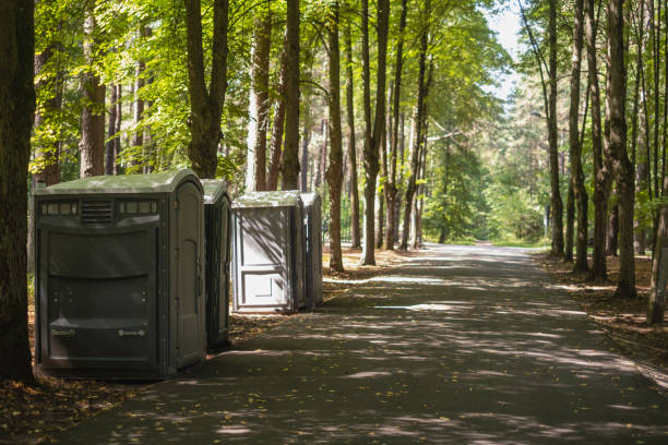 Best Porta potty delivery and setup  in De Soto, IL