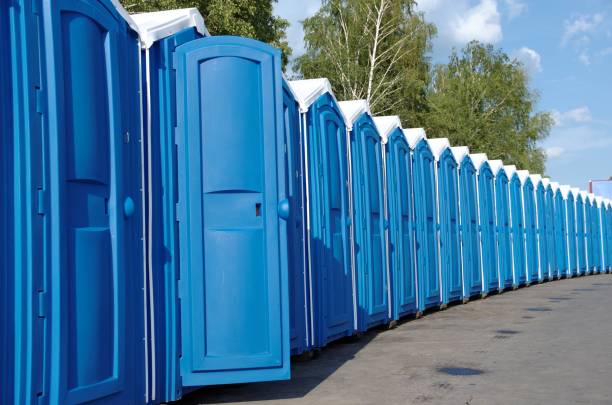 Best Temporary restroom rental  in De Soto, IL